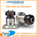 Cảm biến lực Montalvo Việt Nam