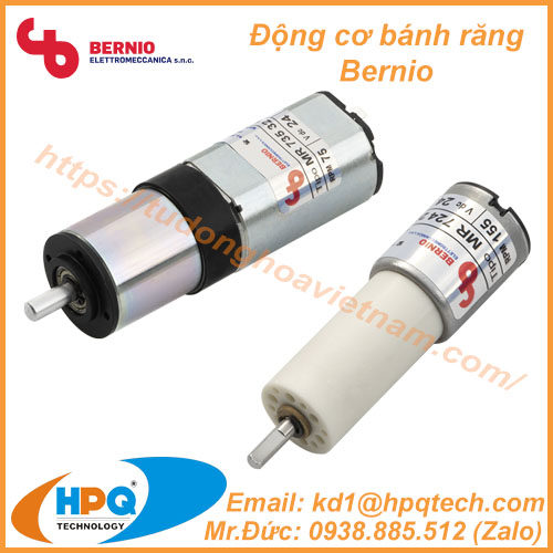 dong-co-banh-rang-bernio.jpg