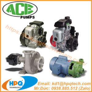 bom-ly-tam-ace-pumps