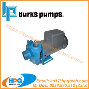 Bơm ly tâm Burks Pumps | Đại lý Burks Pumps Việt Nam