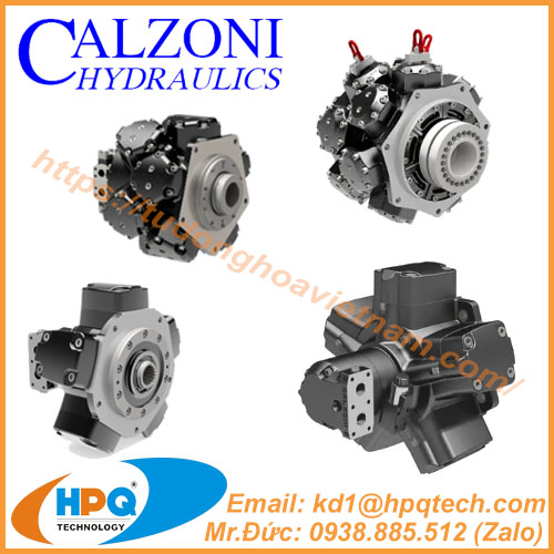 dong-co-pistong-calzoni